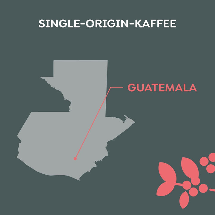 Melitta Manufaktur-Kaffee Guatemala Honey, Spezialitäten-Kaffee, 250G, Ganze Kaffee-Bohnen, Ungemahlen, Single-Origin-Kaffee, Sanfte Trommelröstung, Geröstet in Deutschland, Stärke 3