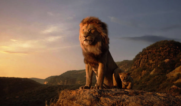 Imagine comestibila, vafa, format A4, The Lion King - Nati Shop